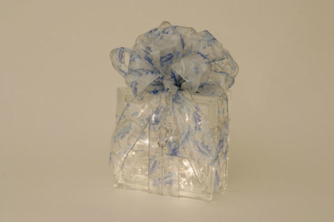 Blue Holly