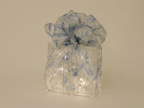 Blue Holly